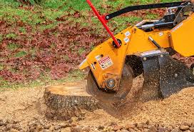 Best Lawn Disease Treatment  in Ara, AL